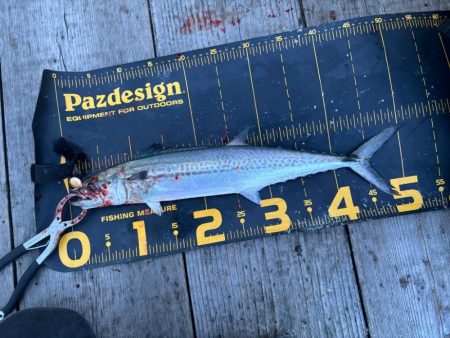 筏シーズン開幕