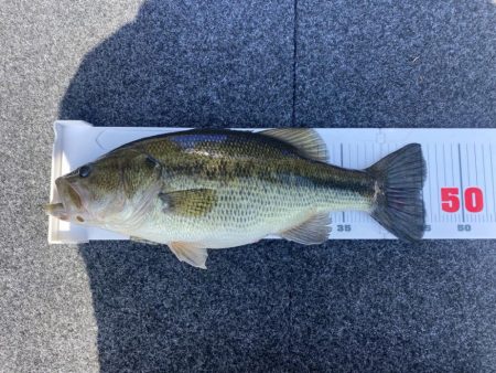 1日ボート釣行！