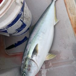 一年ぶりのジギング！