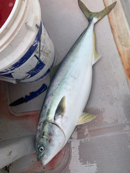 一年ぶりのジギング！