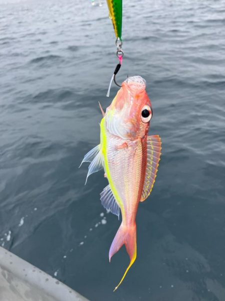 大物バラしました