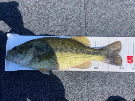 午前中ボート釣行！