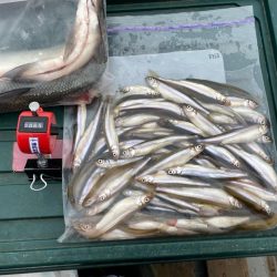 わかさぎ&シナノユキマス釣り