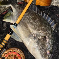 ヘチってきました