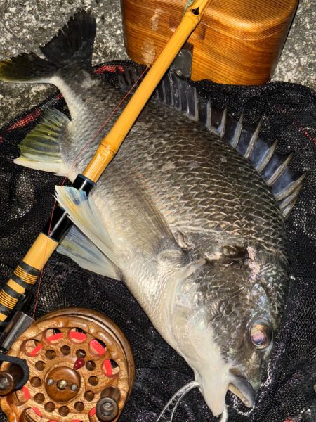 ヘチってきました