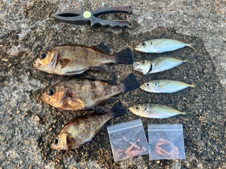 アジメバリング