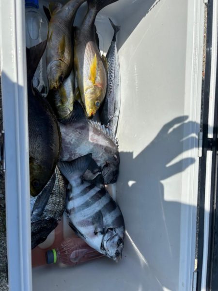 イサキリベンジ