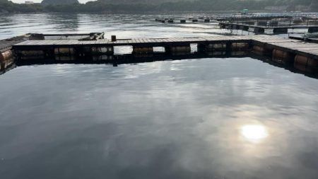 今期最後のサーモンコーナー