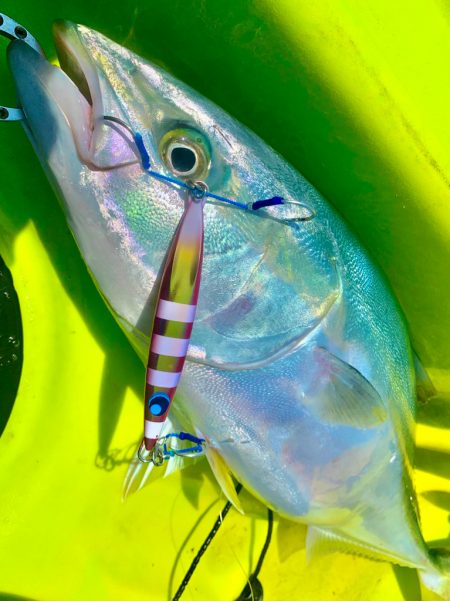 カヤックジギング