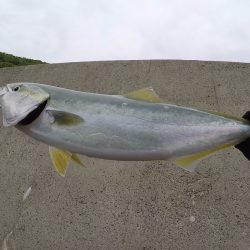 2024ライトゲーム第14戦