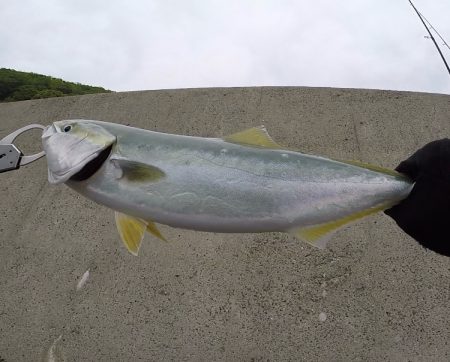 2024ライトゲーム第14戦