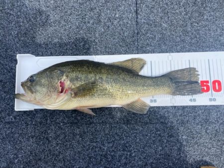 午前中ボート釣行！