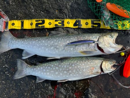 大物は目の前にして逃げられる笑