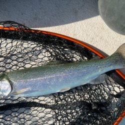 フィッシングプール初トライ