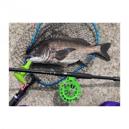 年無しゲット！