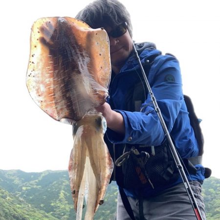 トランスエギングで春イカにせまる！