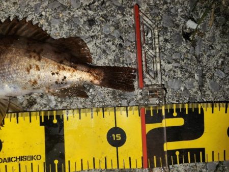 メバリングイベント