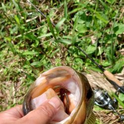 ウキウキパターン