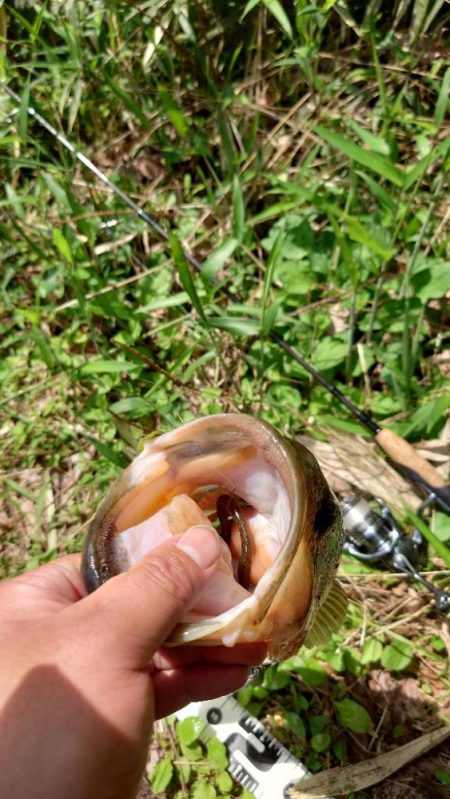 ウキウキパターン