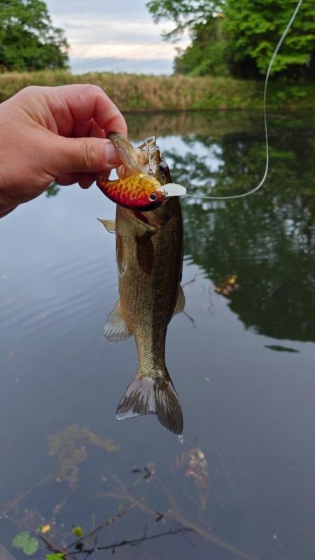 クランキング！