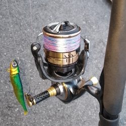 まだ早いかな？