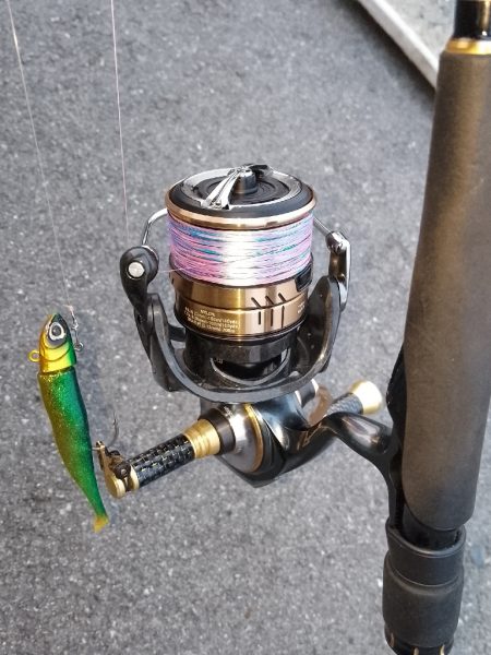 まだ早いかな？