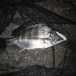 強風でやり難い…