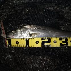 場所ムラがある感じ