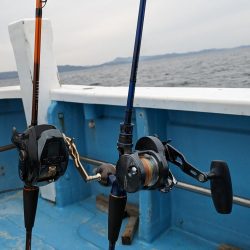 安定のクログチ