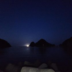 久しぶりの投稿