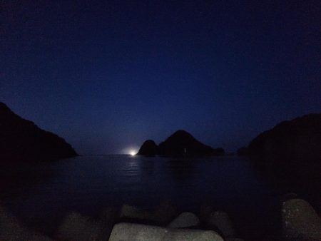 久しぶりの投稿