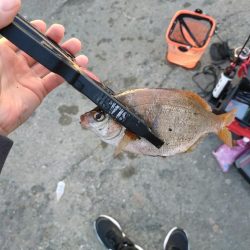 初心忘れべからず