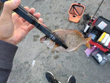 初心忘れべからず