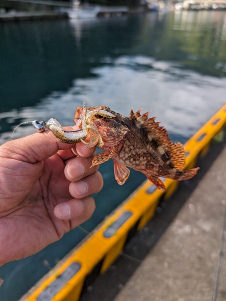 陸っぱり釣行記