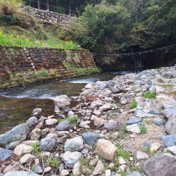 アマゴ釣り(管理釣り場)