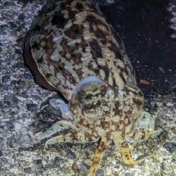 変化はチャンス