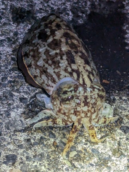 変化はチャンス