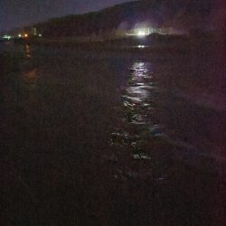 シーバス釣りって楽しい