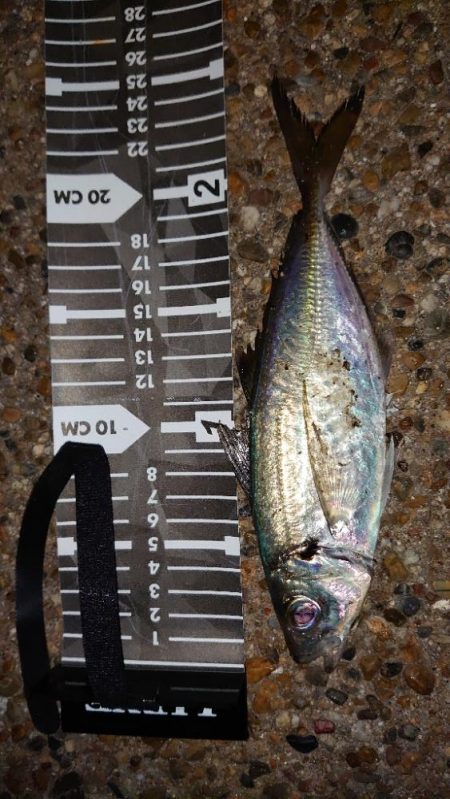 いつもの時間に