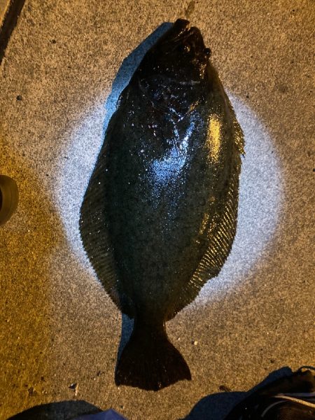 ライトゲームでまさかの、、