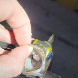 やり続けること◯時間