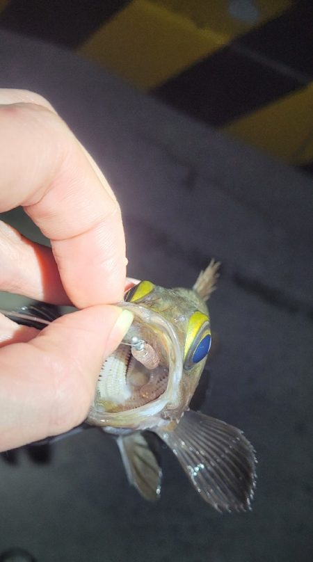 やり続けること◯時間