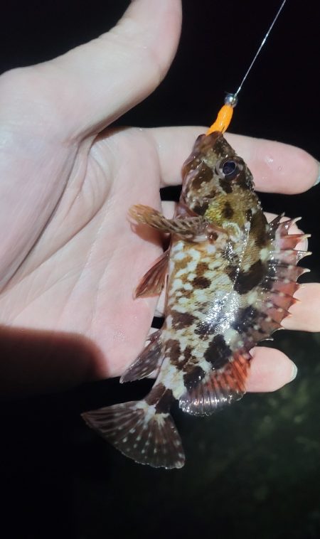 3月のライトゲーム、まさかの珍客も