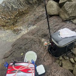 今回の天草ではやっと１匹釣ることが出来ました