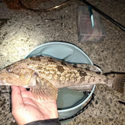 残業してなんとか2匹