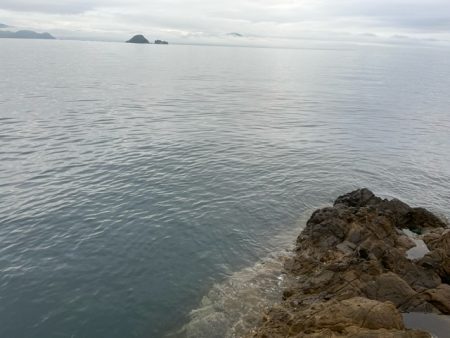 フカセ釣りで想定外の魚が釣れました