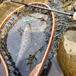 何とか顔見れました