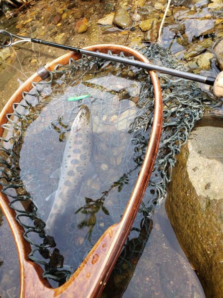 何とか顔見れました