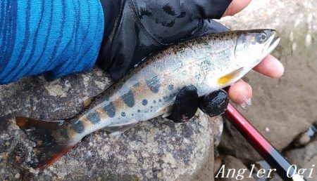 引原川、本流シーズン開幕!