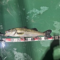 津久見沖防波堤近く